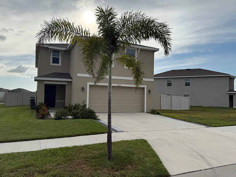 Front with Palm Tree