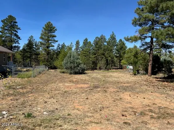 340 N FOX Run #76, Show Low, AZ 85901