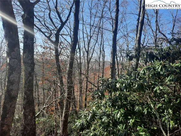 TBD - Lot 1 Dendron Lane, Blowing Rock, NC 28605