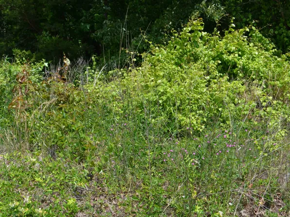 215 Prince St, Spindale, NC 28160