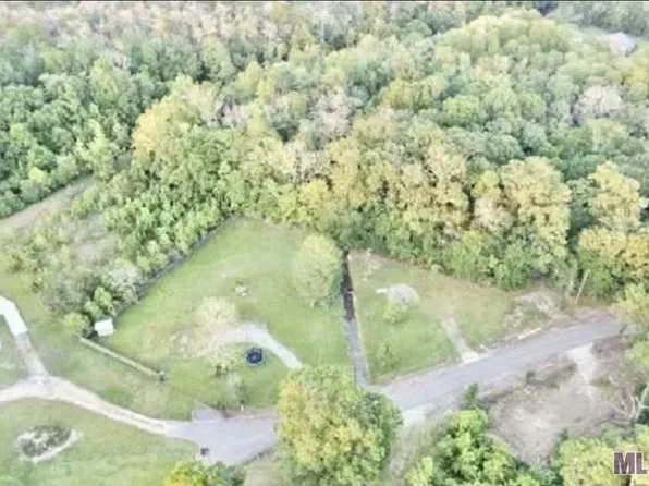 12226 Peter Bourgeois Rd, Saint Amant, LA 70774