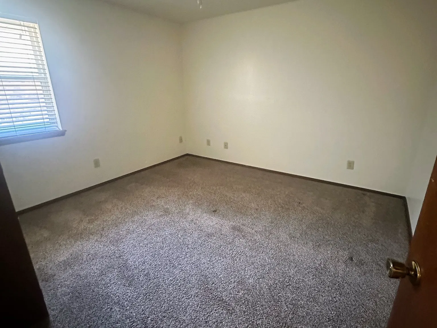 1 bed, 550 sqft, $800 — Photo 2