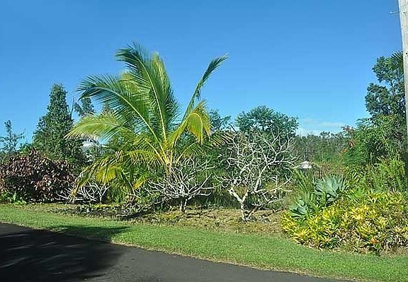 2nd image of 12-207 Oliana Dr Lot 135