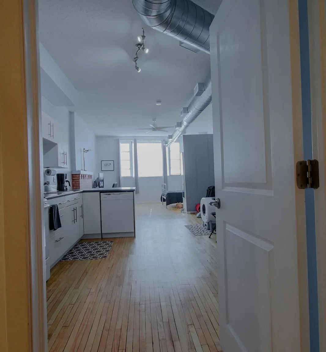 1 bed, $1,650 — Photo 2
