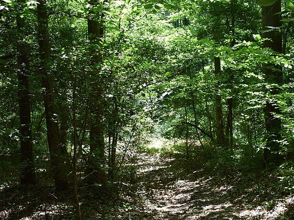 4th image of Floyd Blackwell Rd