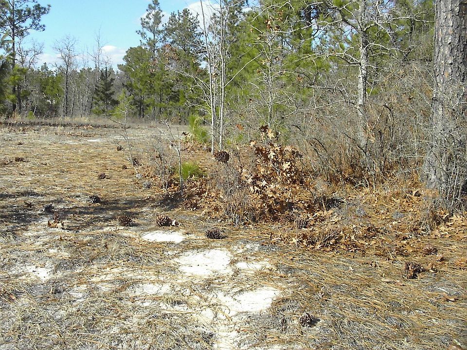 2nd image of 1179 Seminole Way