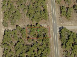 7710 N Santos Dr, Citrus Springs, FL 34434