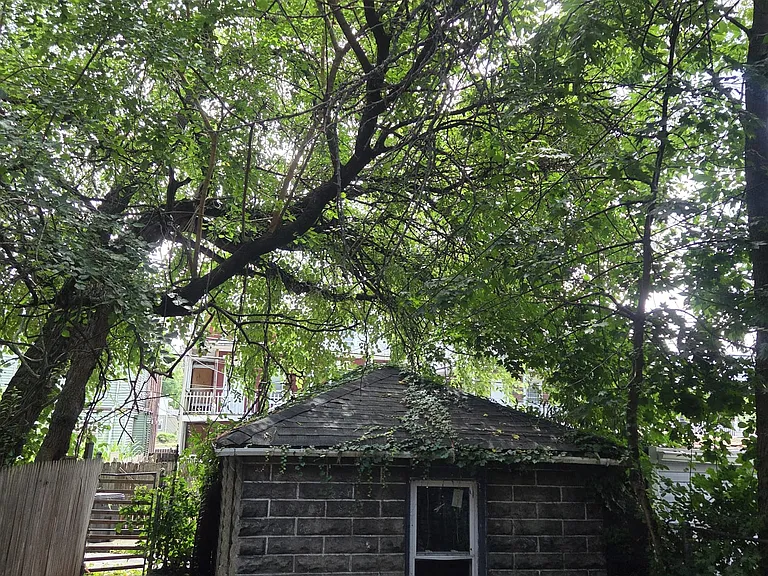 1407 Liberty St — Photo 19