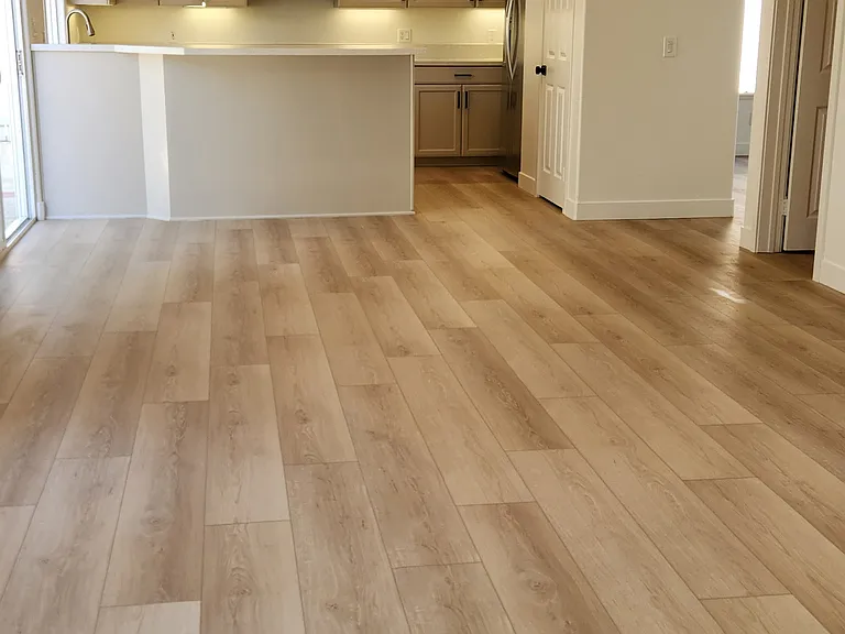 2246 Levante St — Photo 24