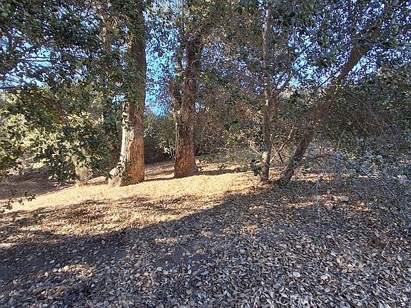 3rd image of 47515 Woodcliff Dr