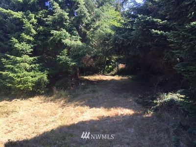 676 Island Circle SE, Ocean Shores, WA, 98569