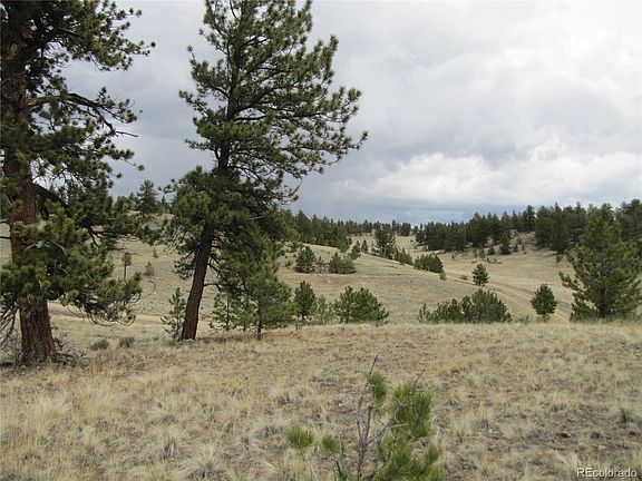 2nd image of 319 Superstition Trail