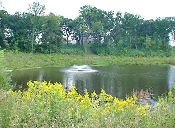 Pond View