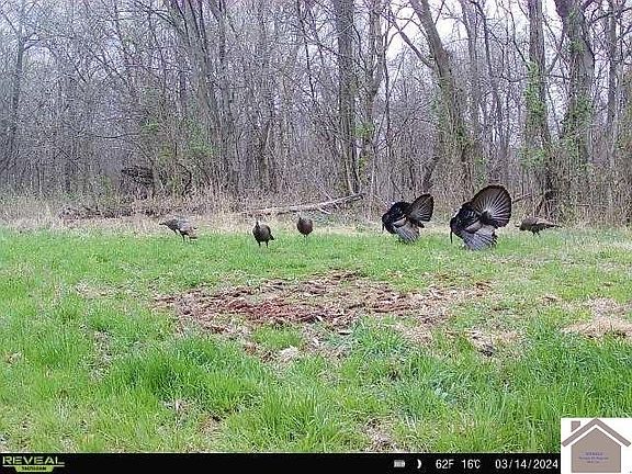 4th image of 0 Bluff Rd