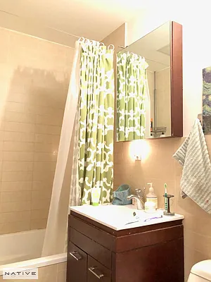 Rented by Native Real Estate LLC | media 7