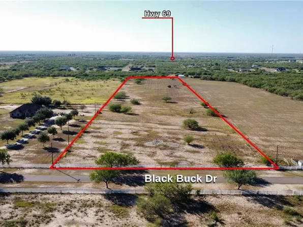 35209 Black Buck Dr, Edinburg, TX 78542