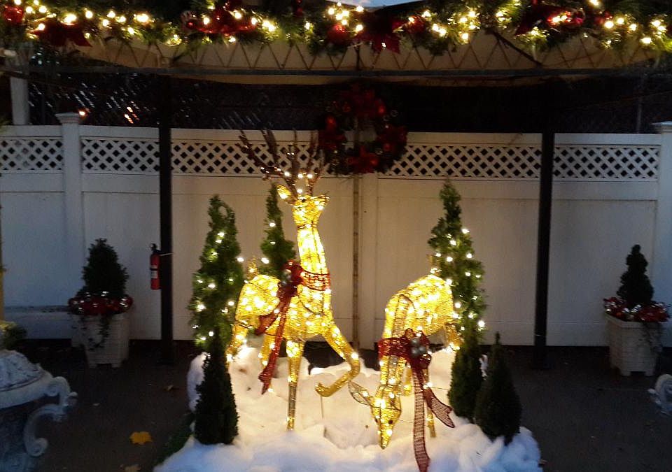 Xmas evenings in the Gazebo