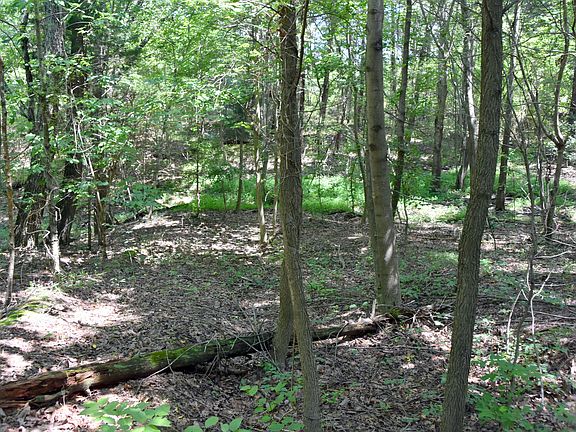 3rd image of 0 Pikes Dr Lot 10
