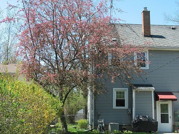 Spring in the backyard. 