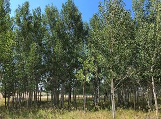 199 Wagon Wheel Rd, Hartsel, CO 80449