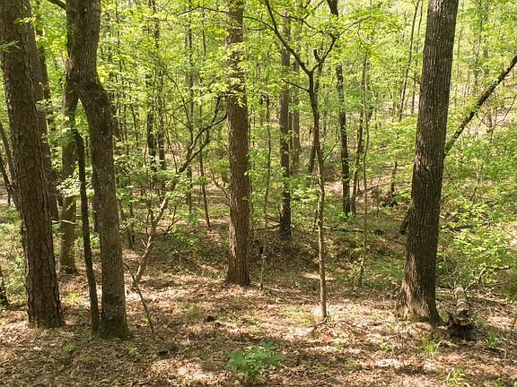 3rd image of 4480 Fm 1279