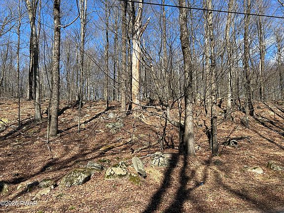 5th image of LOT-2230R Saw Mill Rd