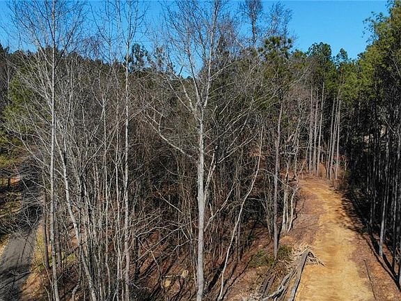 2nd image of On Orlando Path #3