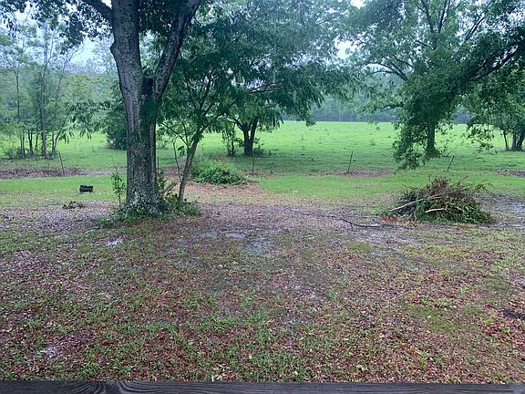 Sit on the covered back porch and watch the cows and deer graze!