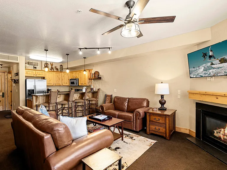 Living Room with Sleeper Sofa