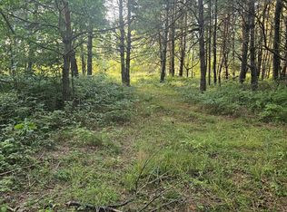 15410 Johnson Rd, Kaleva, MI 49645