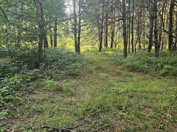 15410 Johnson Rd, Kaleva, MI 49645