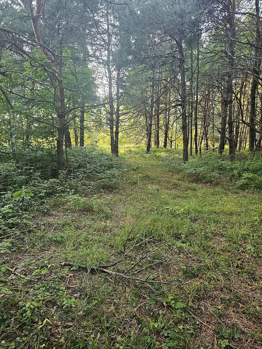 15410 Johnson Rd photo 1