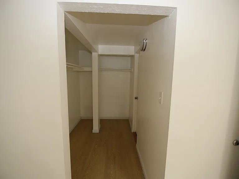 Spacious walk-in closet with elegant wood flooring and ample shelving space.
