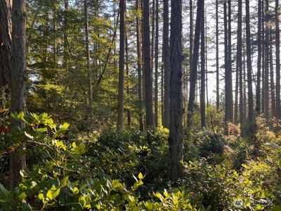 3 LOT Pavey Boulevard, Lopez Island, WA, 98261