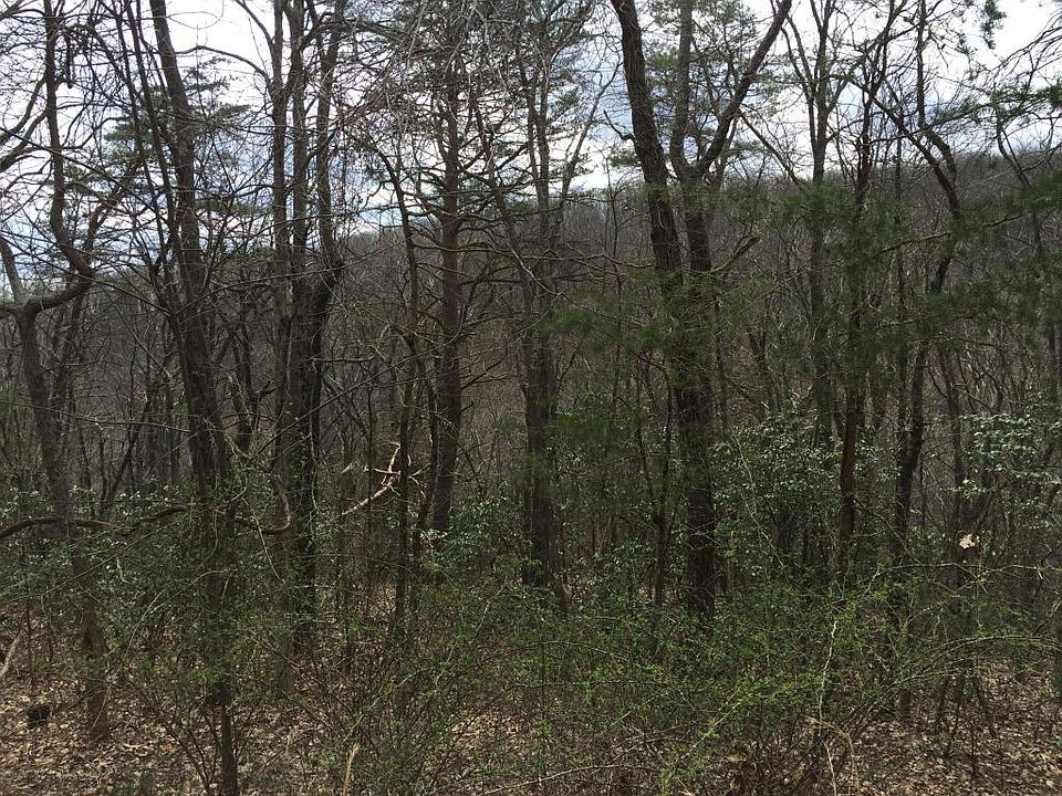 2nd image of Briarwood Cir
