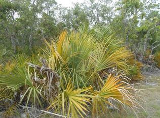 15991 W River Rd, Inglis, FL 34449