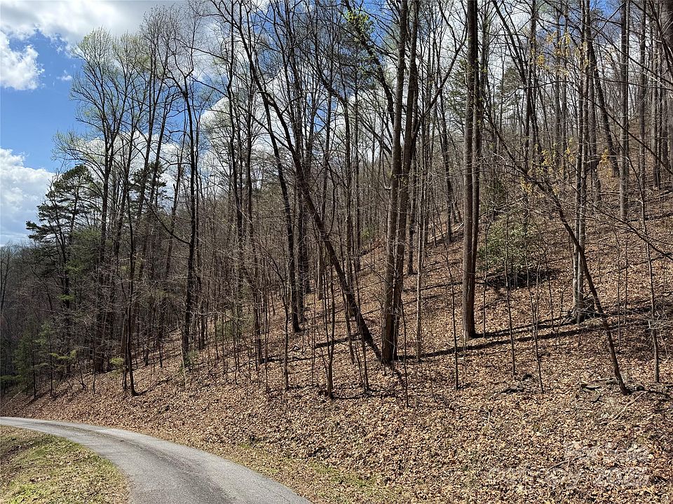 2nd image of 0 Forest Hills Rd