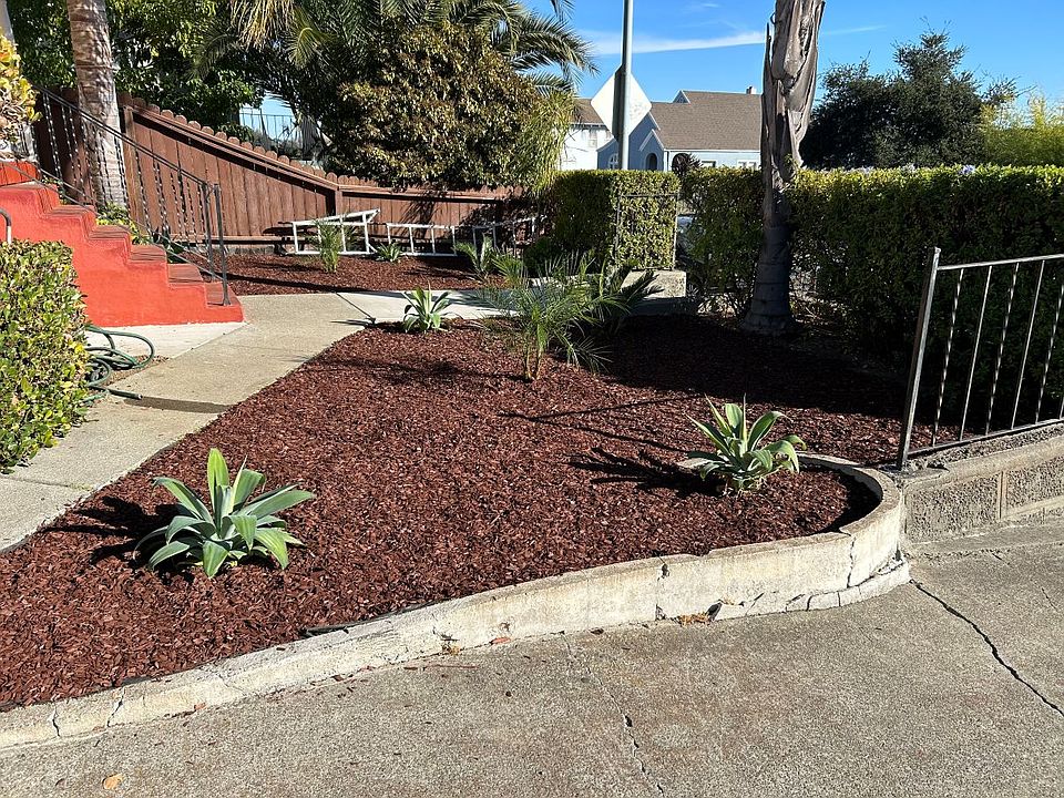Front Yard