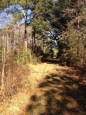 1st image of 0 Hwy 174