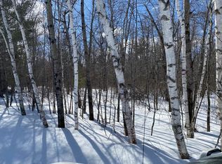 3 Brown Rd, Three Lakes, WI 54562