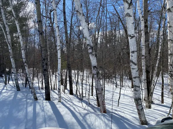 3 Brown Rd, Three Lakes, WI 54562