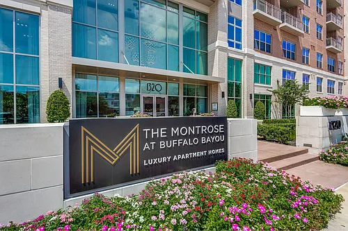 Montrose at Buffalo Bayou Photo 1