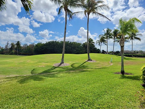 View from Lanai