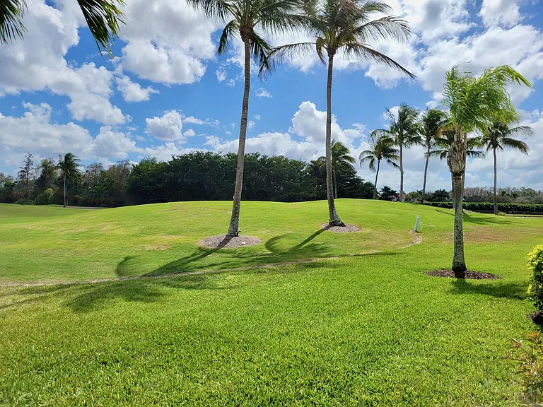 View from Lanai