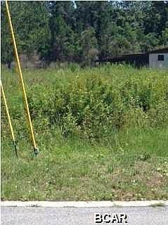 1st image of 2900 Cocoa Ct