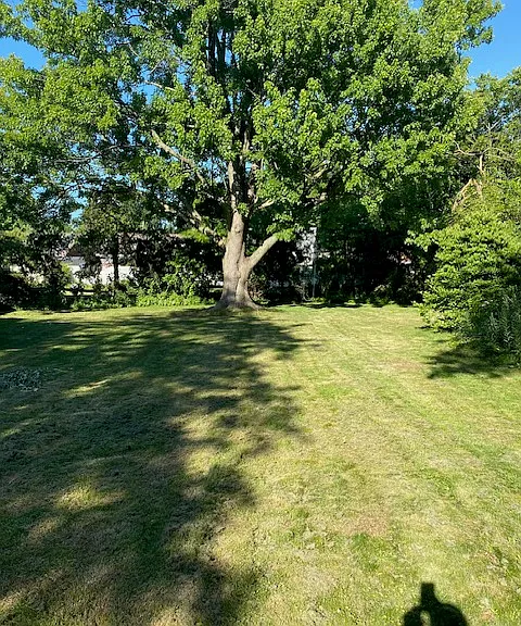 20289 Marian Ln — Photo 3