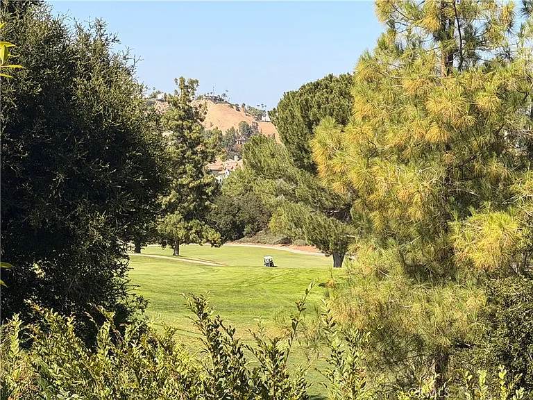 3702 Avenida Callada — Photo 27