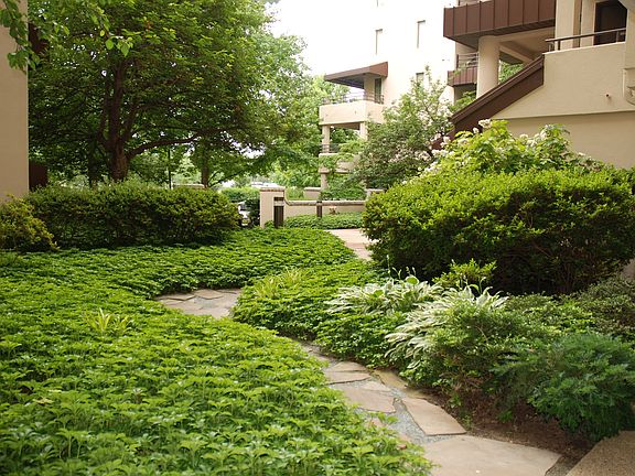 Building Courtyard