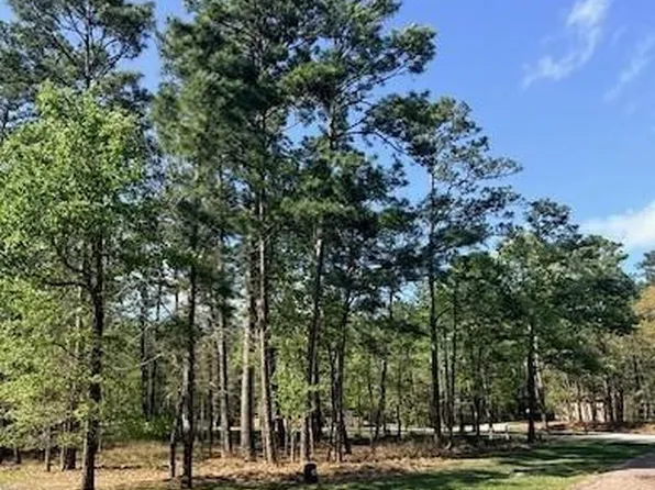 141 Wentworth Ln, Coldspring, TX 77331