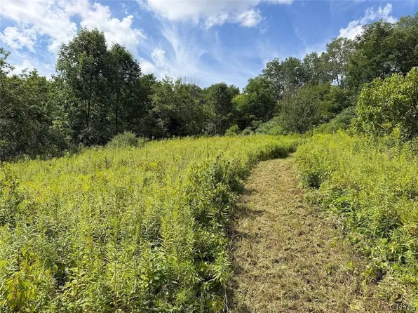 Dye Rd, South Dayton, NY 14138